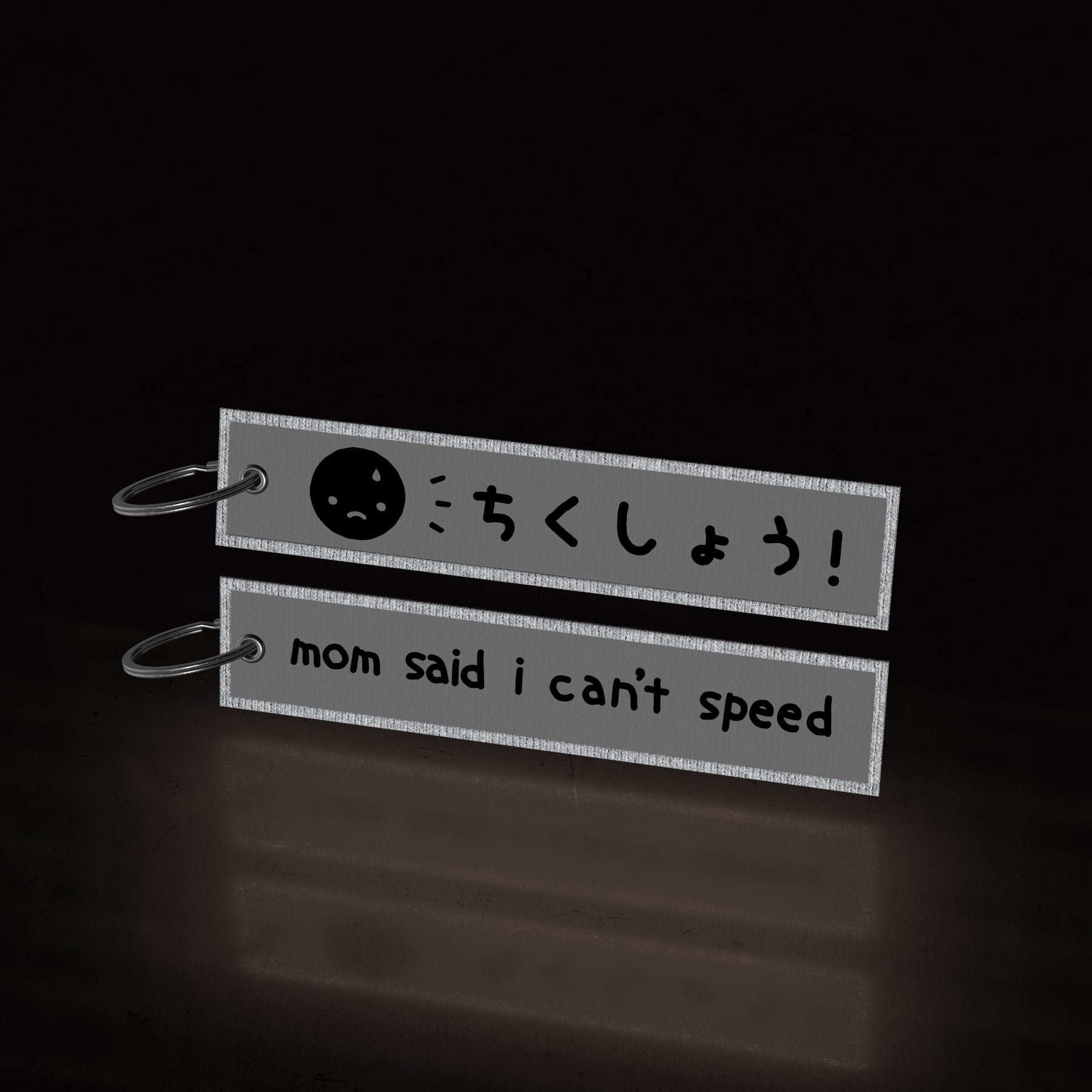 mom said i can't speed ~ REFLECTIVE (flight tag) - triple cat deluxe